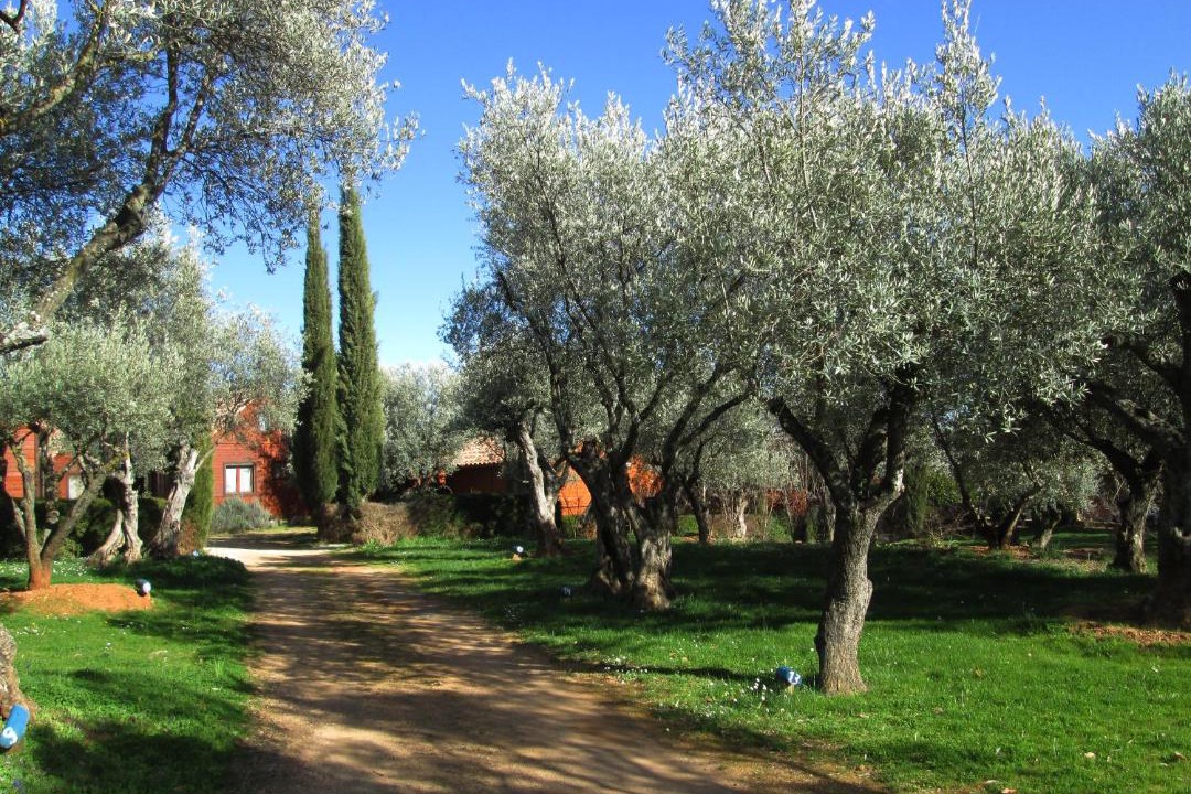 Photo of Others in Alquezar