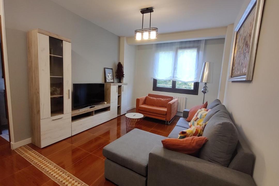 Photo of Livingroom in Basurtu