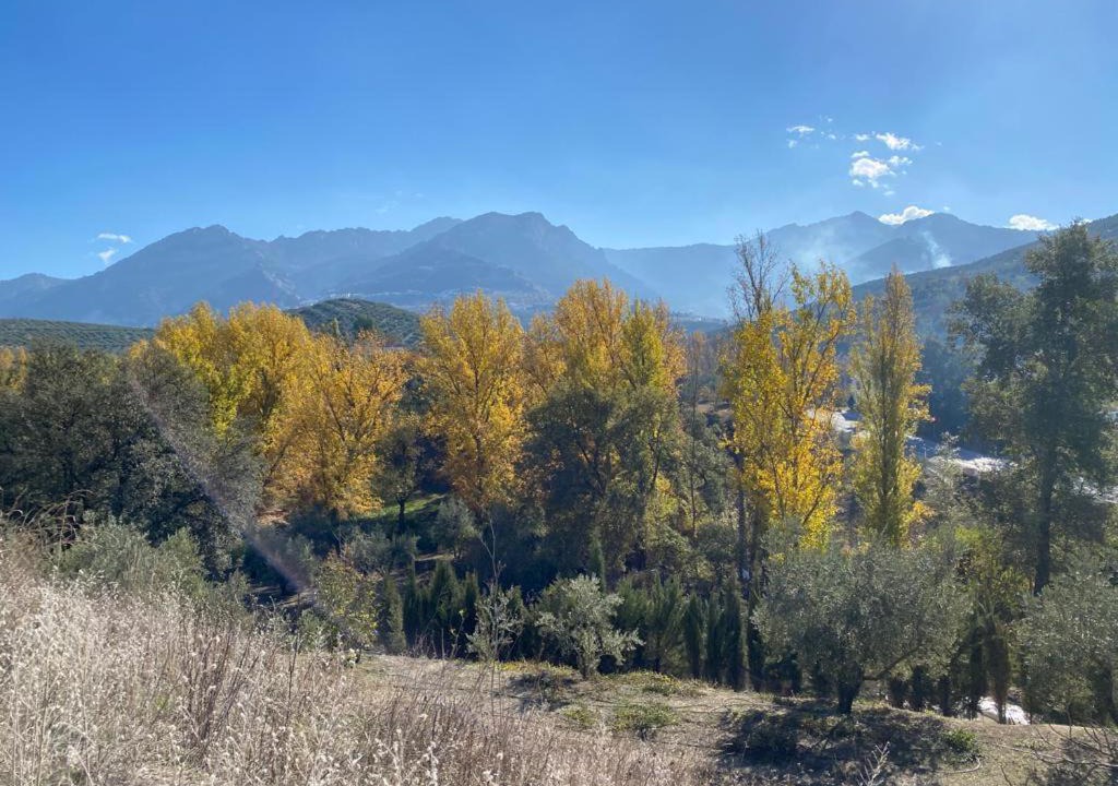 Photo of Outdoor in La Iruela