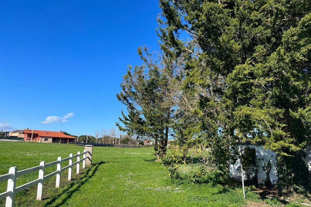 Photo of Outdoor in Loredo
