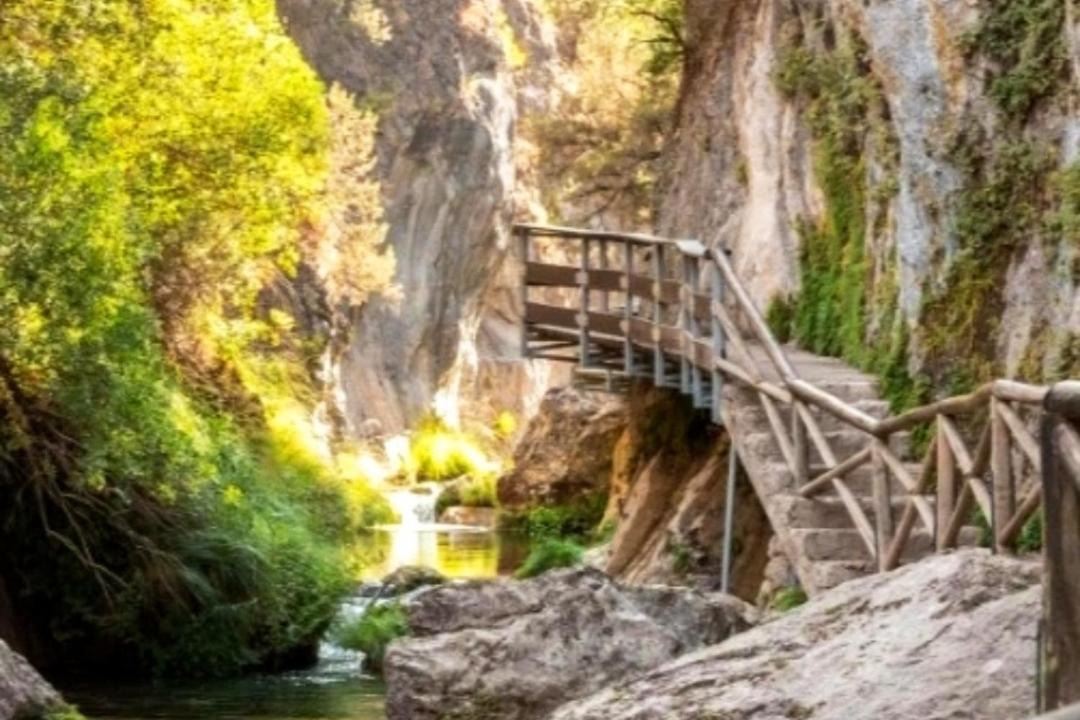 Photo of Others in Coto Rios