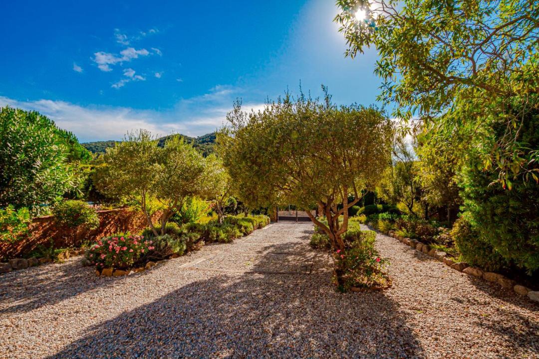 Photo of Outdoor in Calonge
