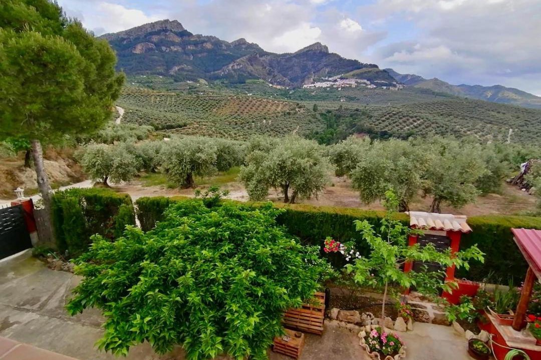 Photo of Others in La Iruela