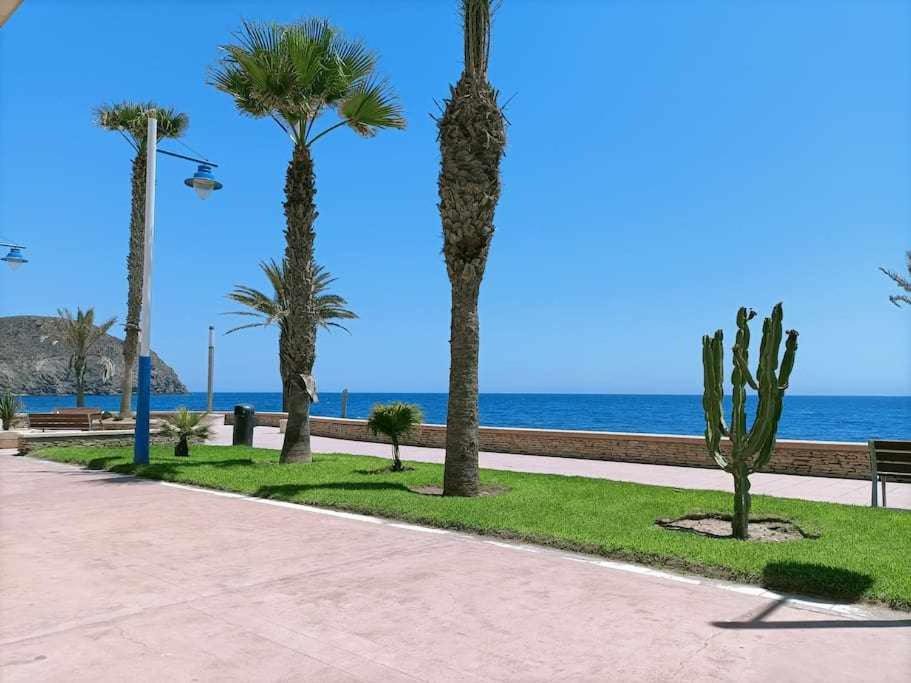 Photo of Others in Carboneras