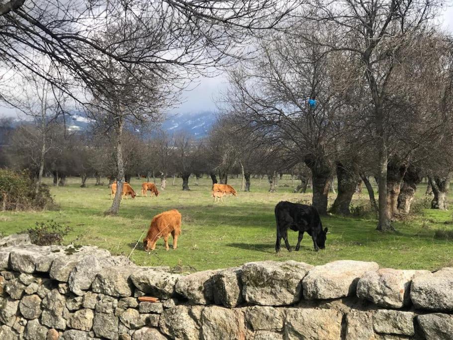 Photo of Outdoor in Guadarrama