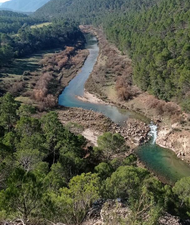 Photo of Outdoor in Coto Rios