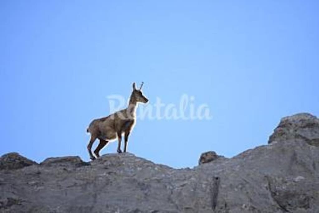 Photo of Others in Villanueva del Pontedo