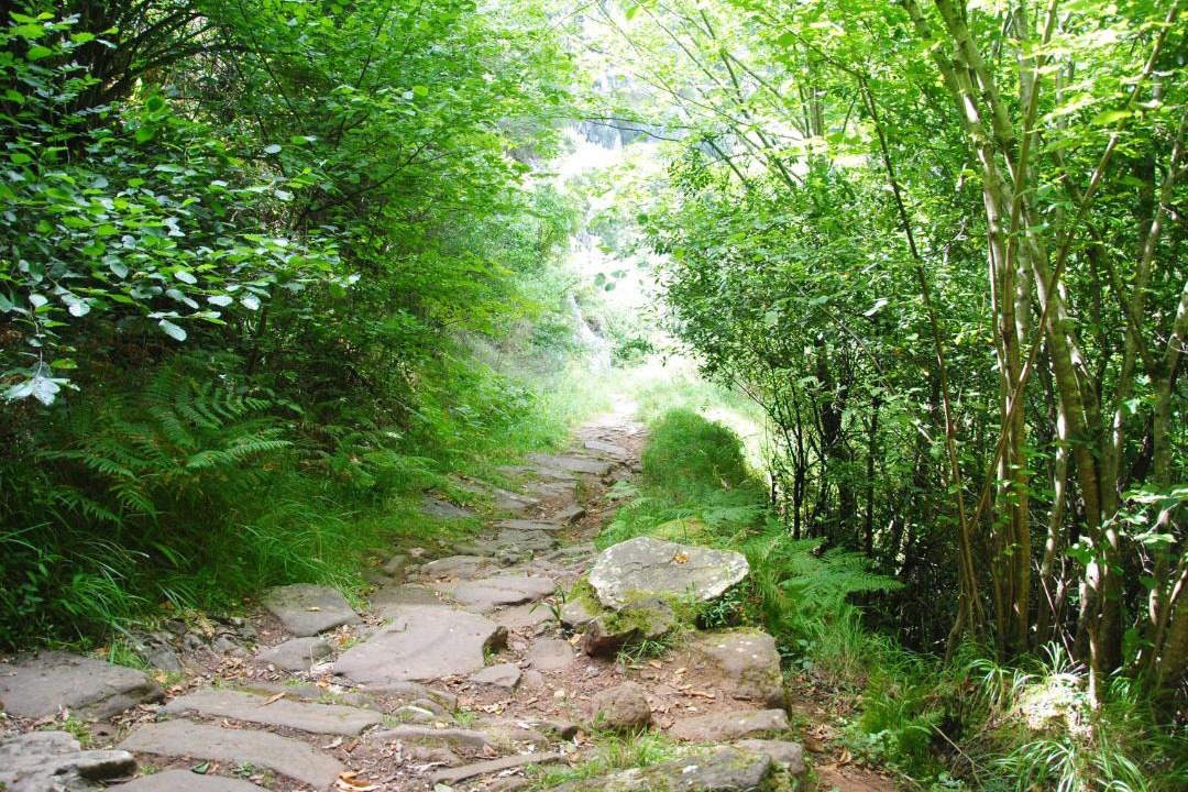 Photo of Outdoor in Cicera