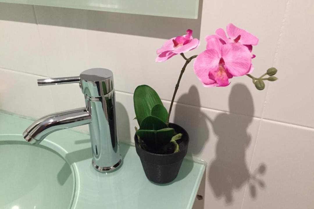 Photo of Bathroom in Valldemossa
