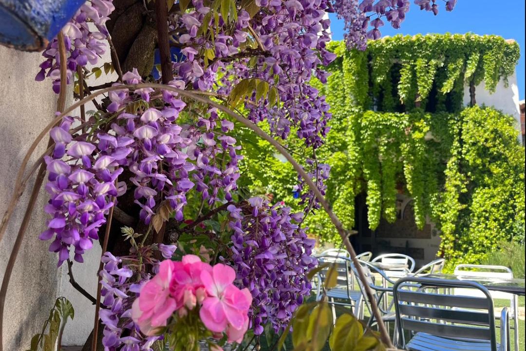 Photo of Patio Balcony in Brazatortas