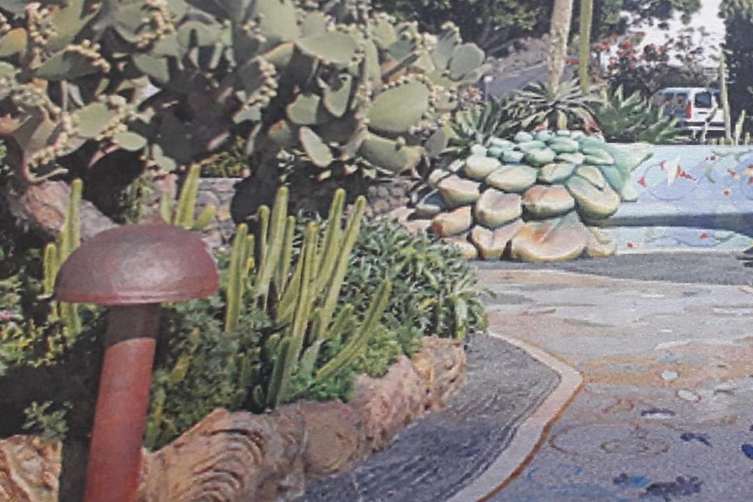 Photo of Others in Brena Baja