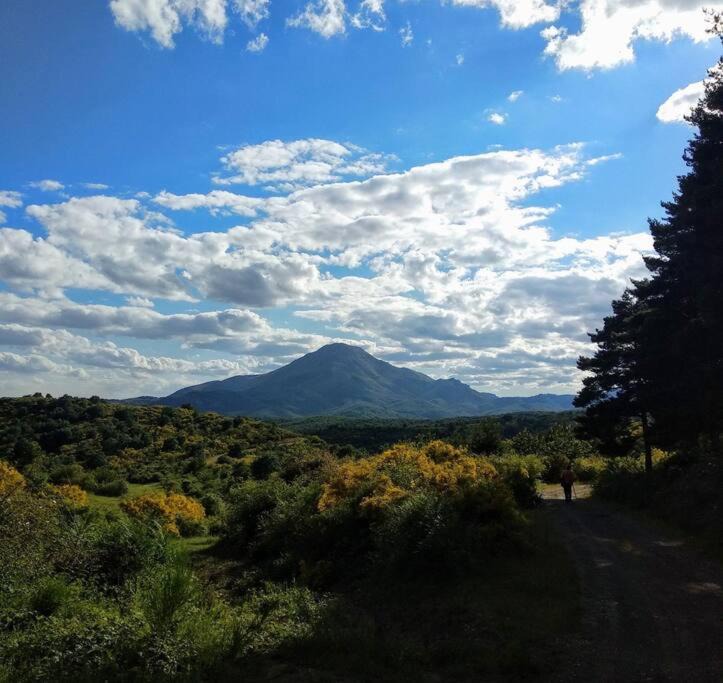Photo of Outdoor in Morgovejo
