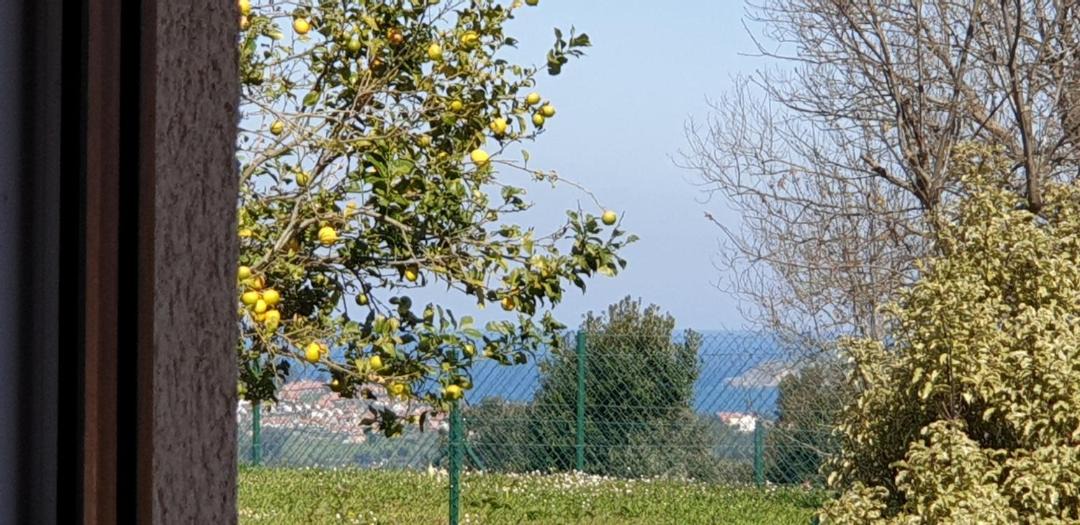 Photo of Outdoor in Serdio