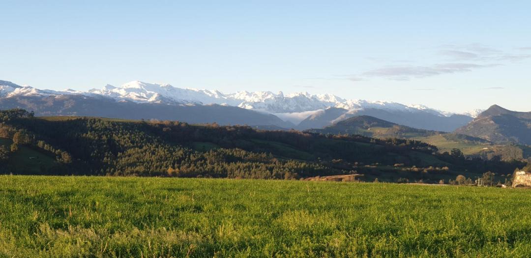 Photo of Outdoor in Serdio