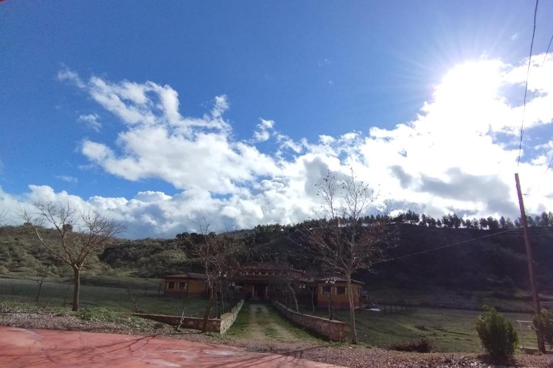 Photo of Others in Alcaraz