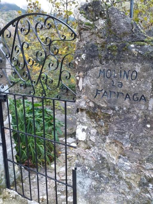 Photo of Others in Cazorla