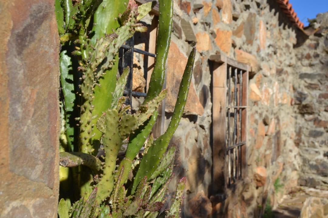 Photo of Buildings in Cardena