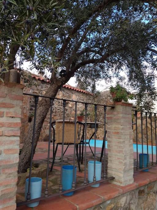 Photo of Buildings in Cardena