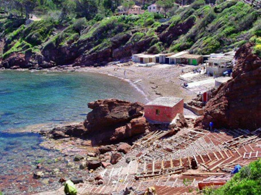 Photo of Outdoor in Port des Canonge