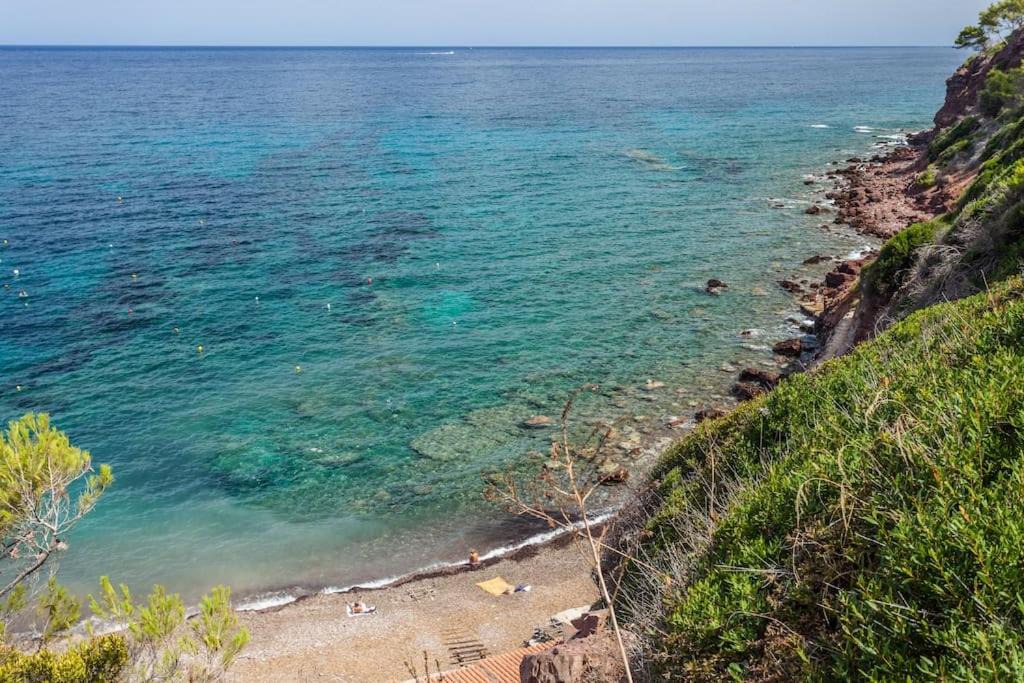 Photo of Outdoor in Port des Canonge