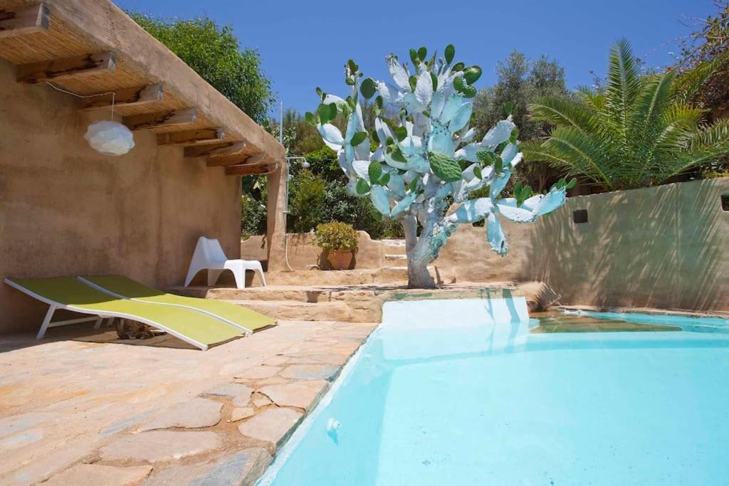 Photo of Outdoor in Playa Macenas