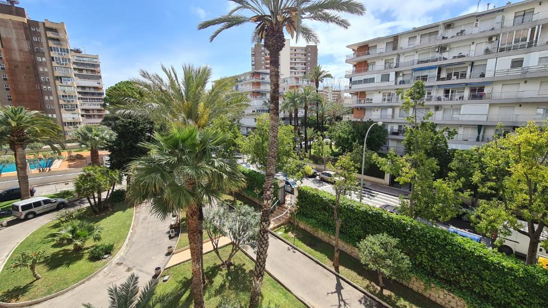 Photo of Others in Playa de San Juan