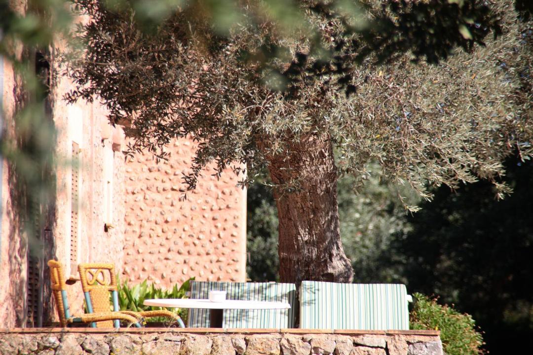 Photo of Others in Valldemossa