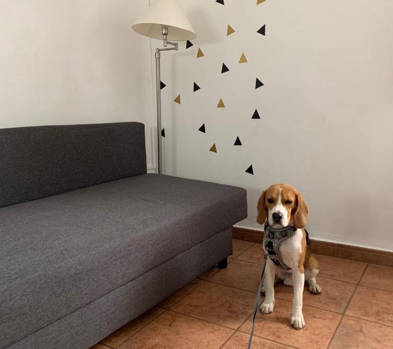 Photo of Livingroom in Hervas
