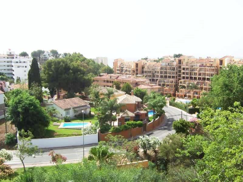 Photo of Others in Torreblanca