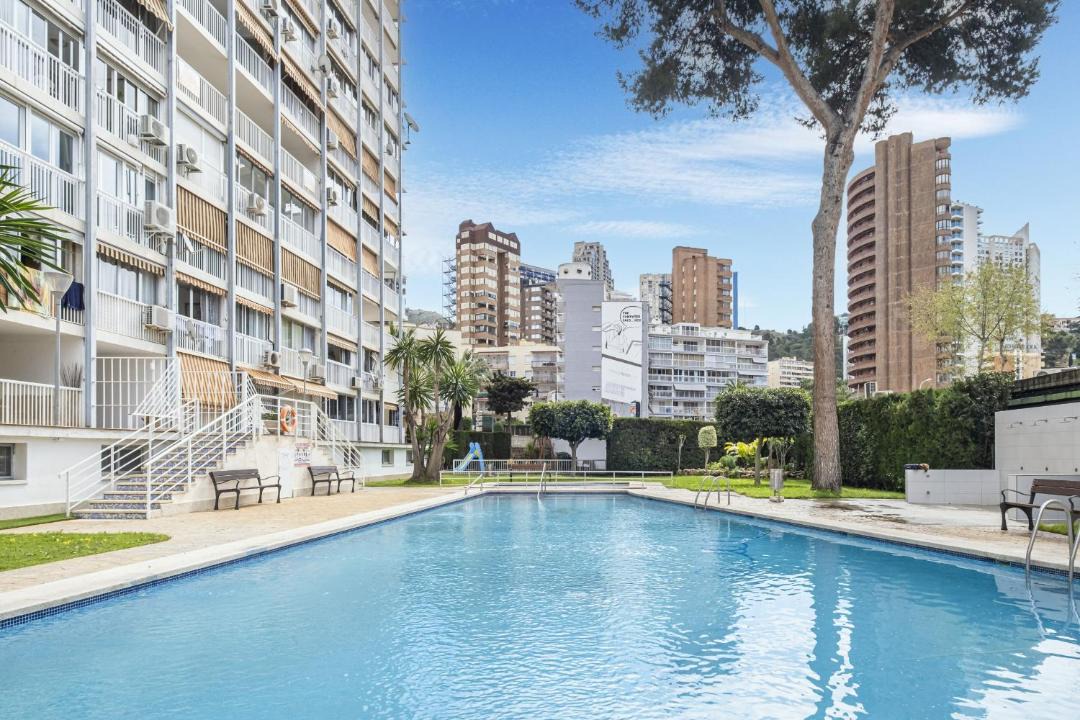 Photo of Others in Benidorm
