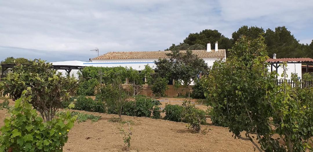 Photo of Others in Pilar de la Mola