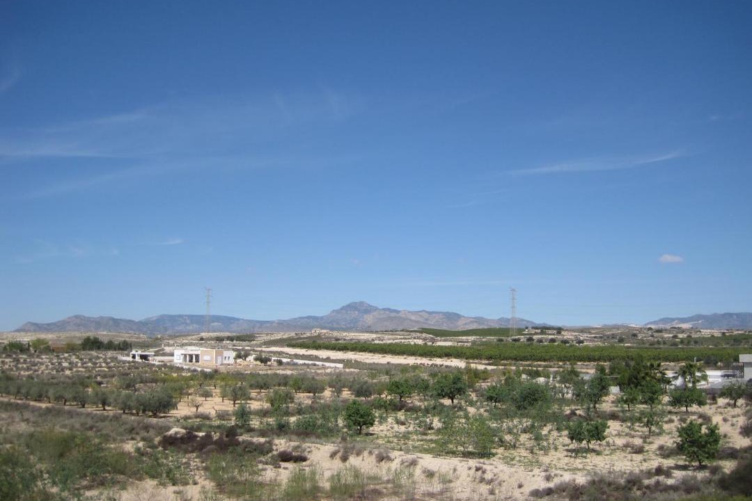 Photo of Others in Fortuna