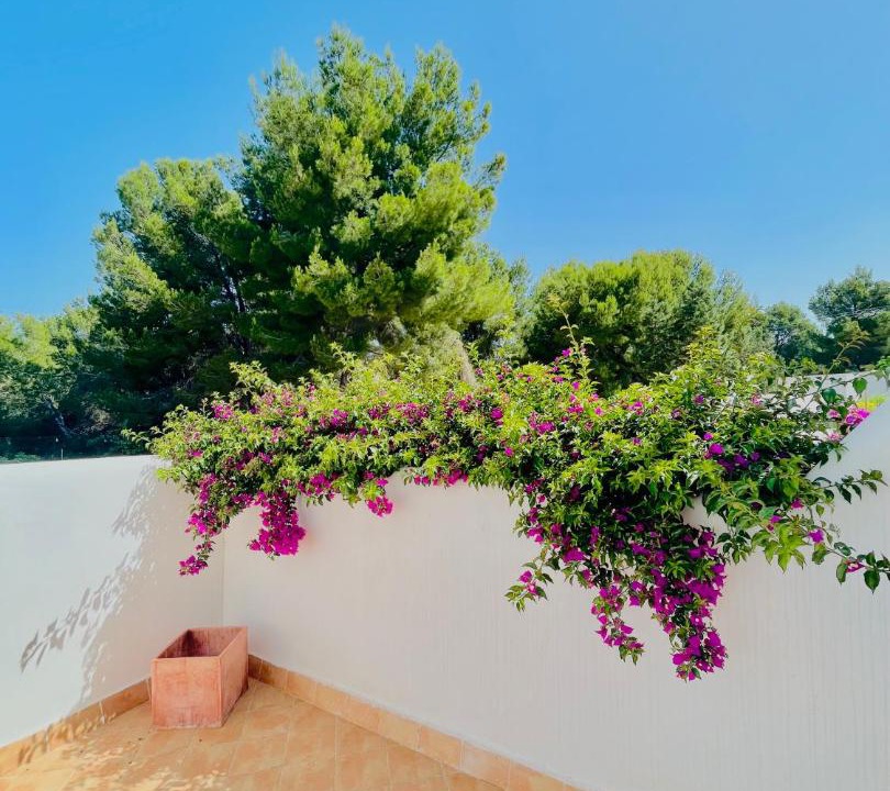 Photo of Outdoor in Sant Josep de sa Talaia