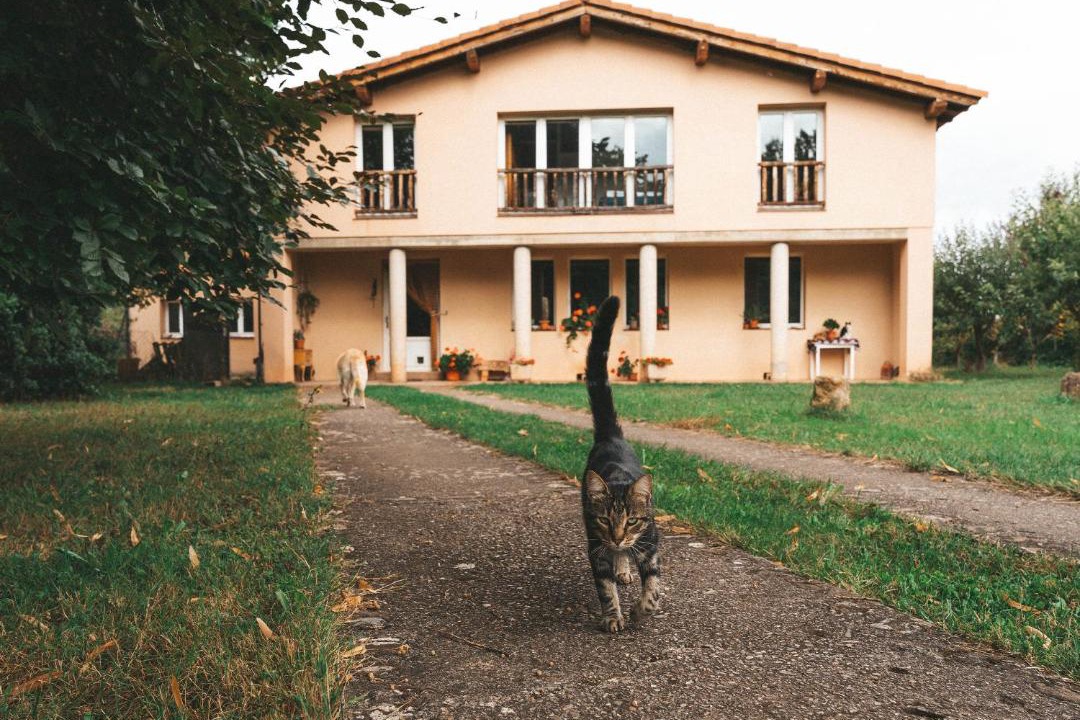 Photo of Buildings in Estollo