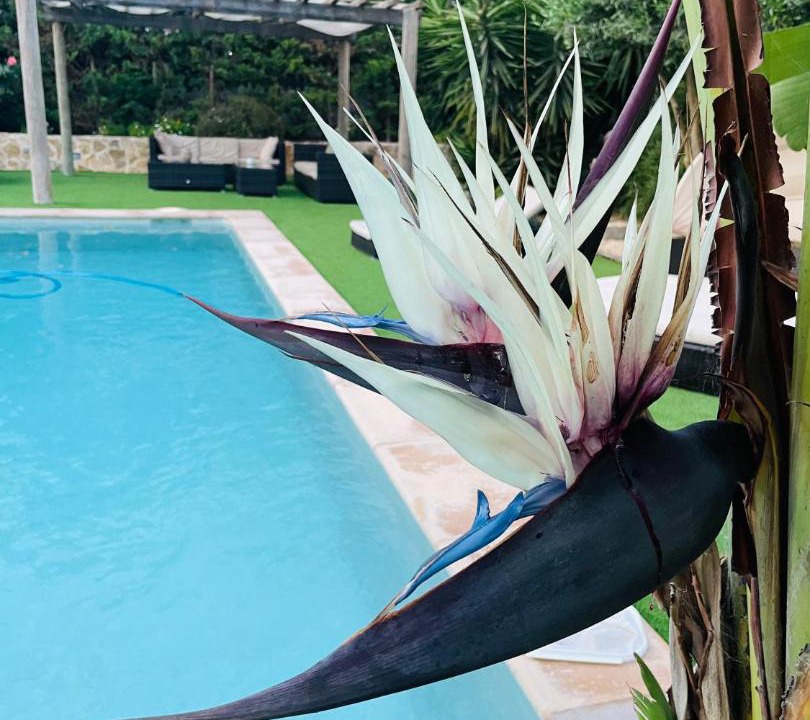 Photo of Outdoor in Sant Antoni de Portmany