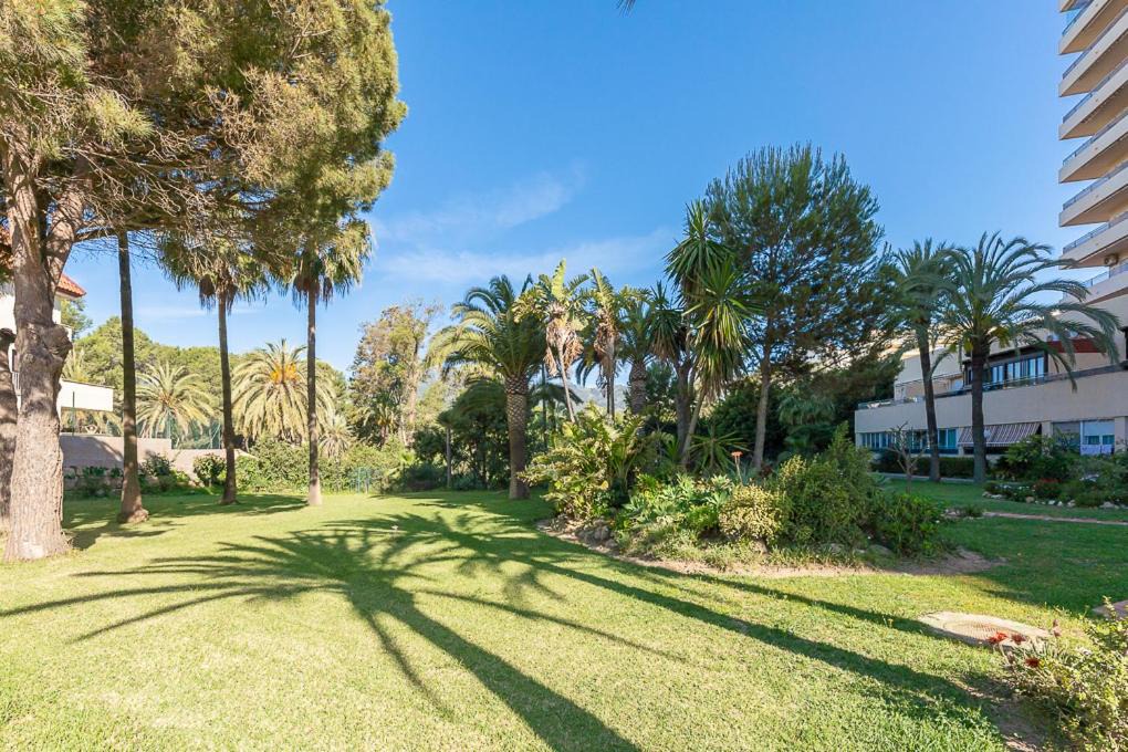Photo of Others in Torrequebrada