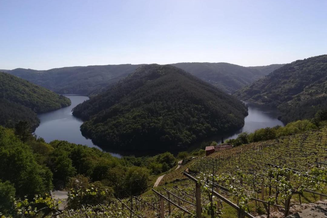 Photo of Outdoor in Carballedo
