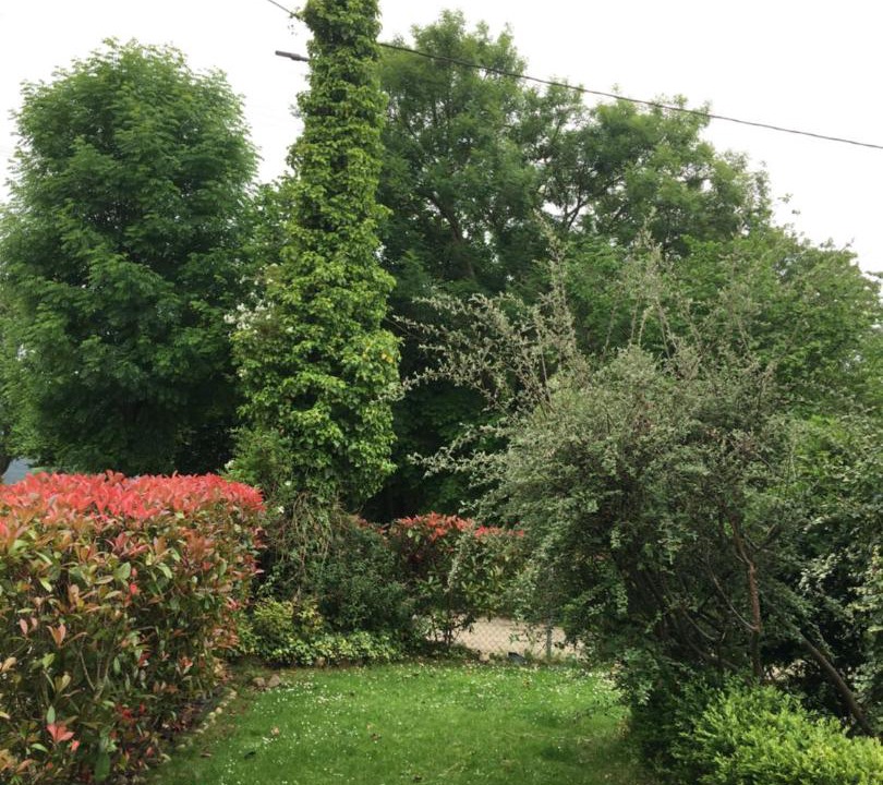 Photo of Outdoor in San Juan de Parres