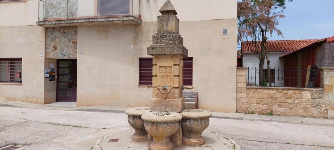 Photo of Others in Ocenilla