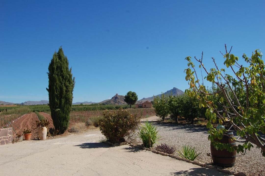 Photo of Others in Jumilla