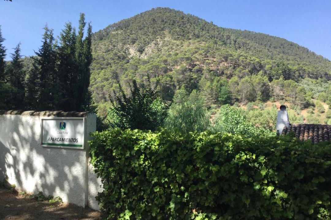 Photo of Others in Siles