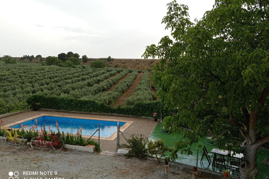 Photo of Others in Pozo Alcon