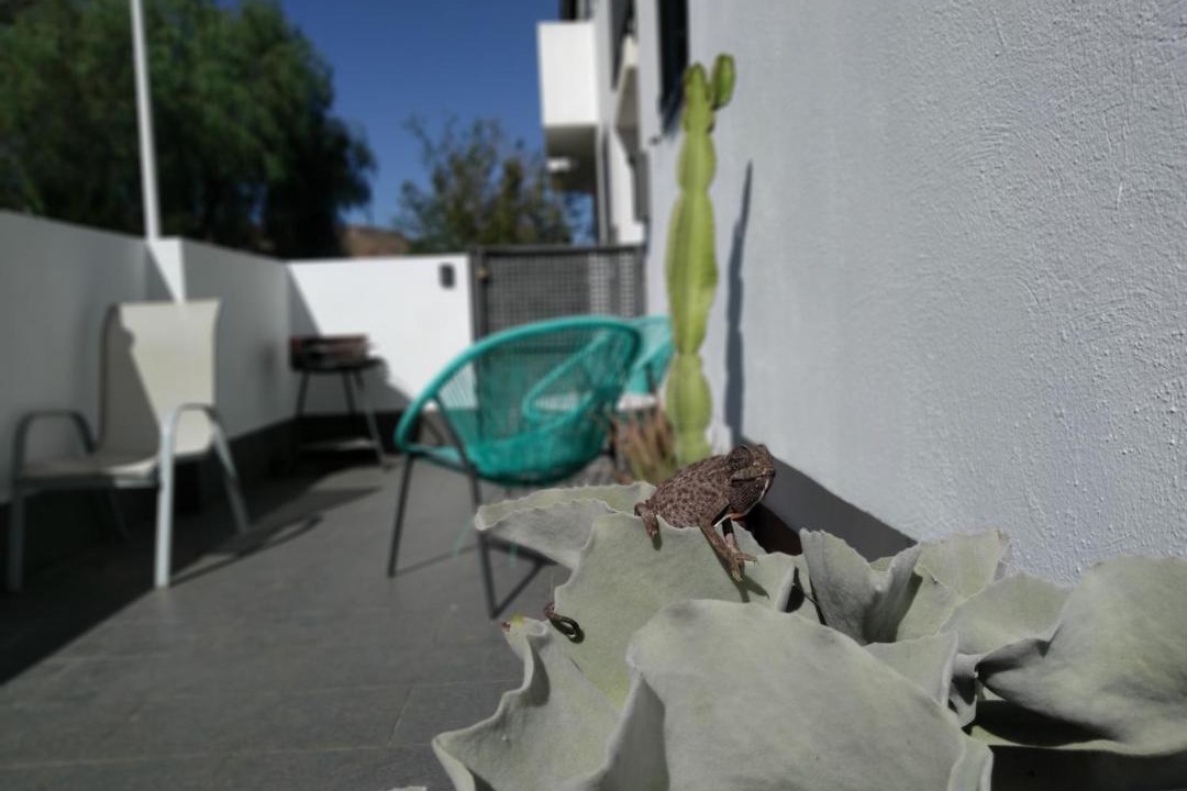 Photo of Patio Balcony in Rodalquilar