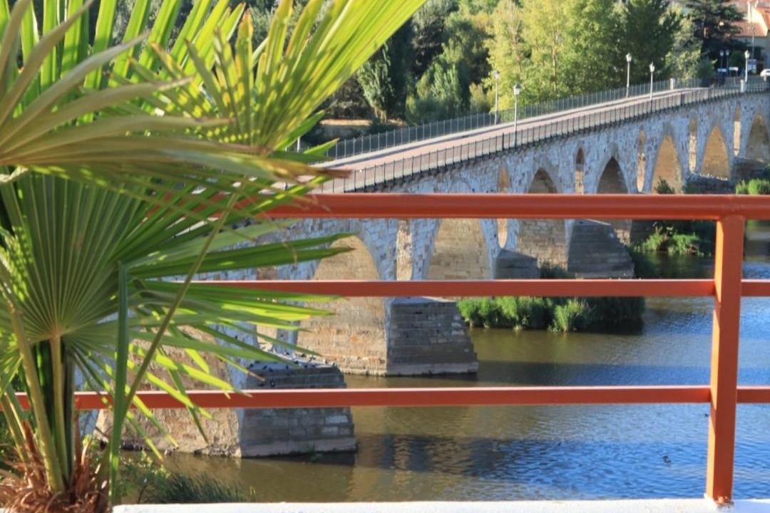 Photo of Others in Zamora