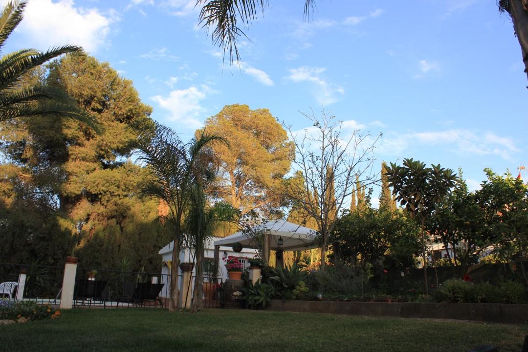Photo of Others in Churriana