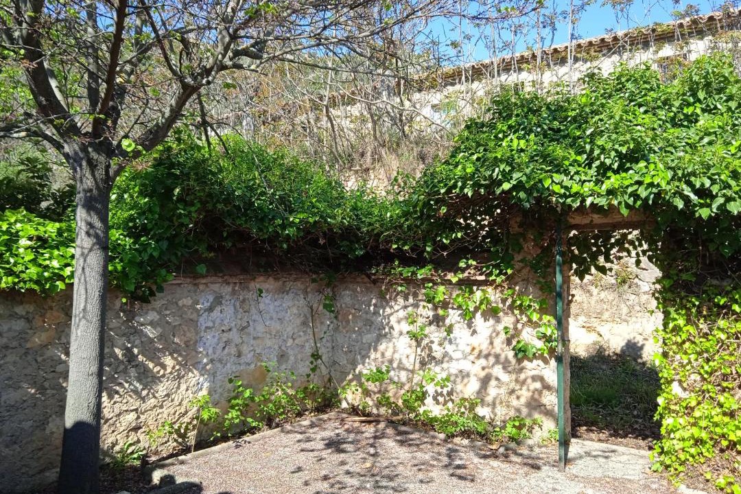 Photo of Others in Castellote