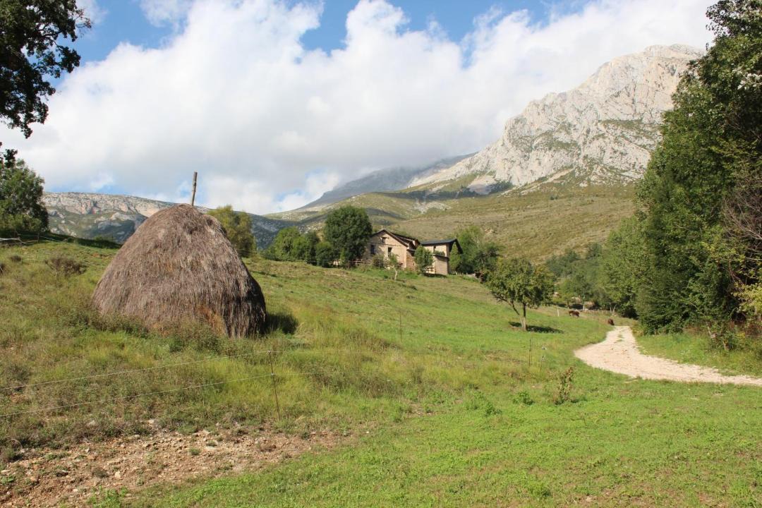 Photo of Others in Padarniu