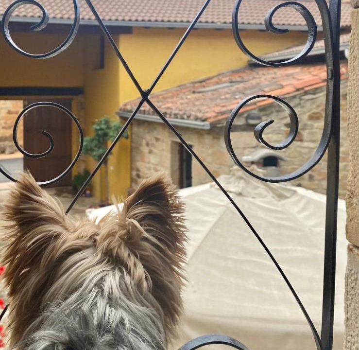 Photo of Others in Villamonico