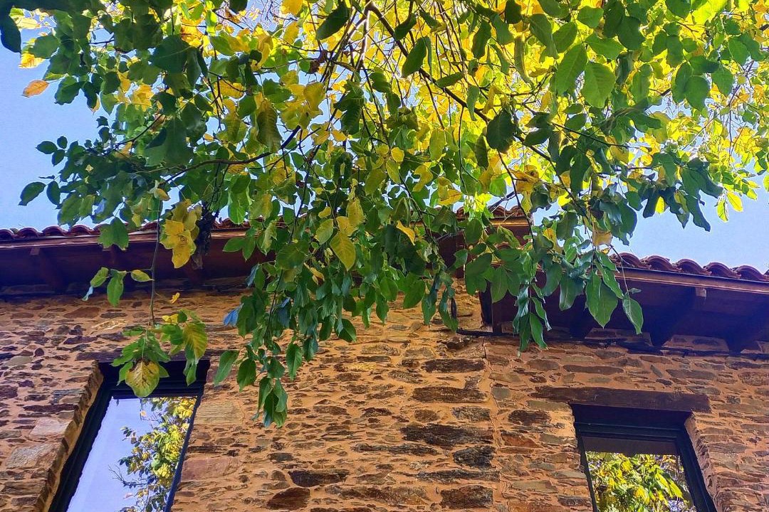 Photo of Others in Callejo de Ordas