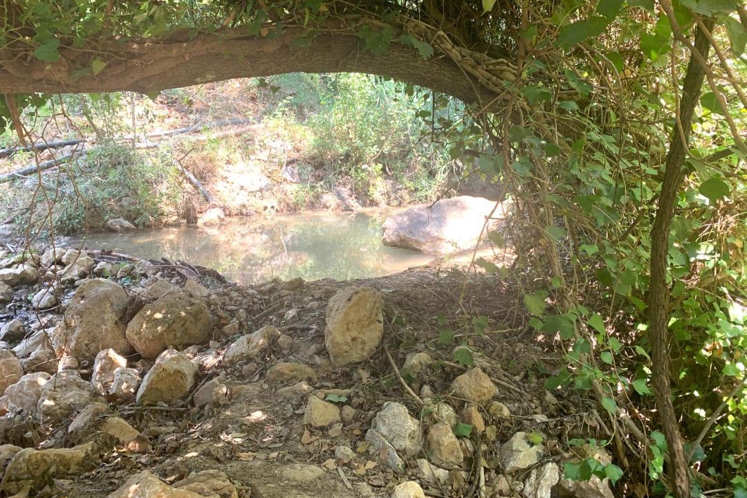 Photo of Others in La Iruela